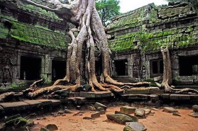 Explore Angkor Wat Sunrise Small Tour Private VIP Car - Entering Angkor Wat Sunrise Without the Chaos