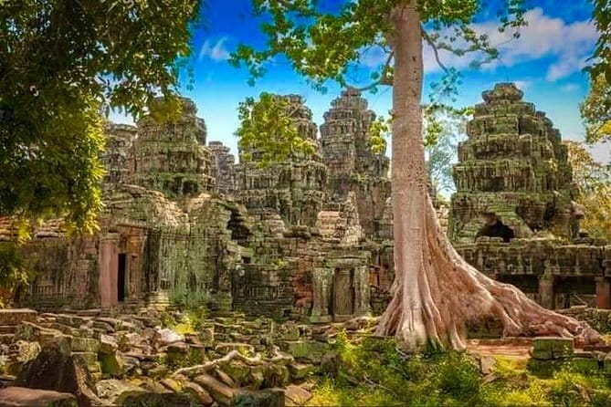 Explore Angkor Wat Sunrise Small Tour Private VIP Car - The Terraces That Tell Stories: Elephants and Leper King
