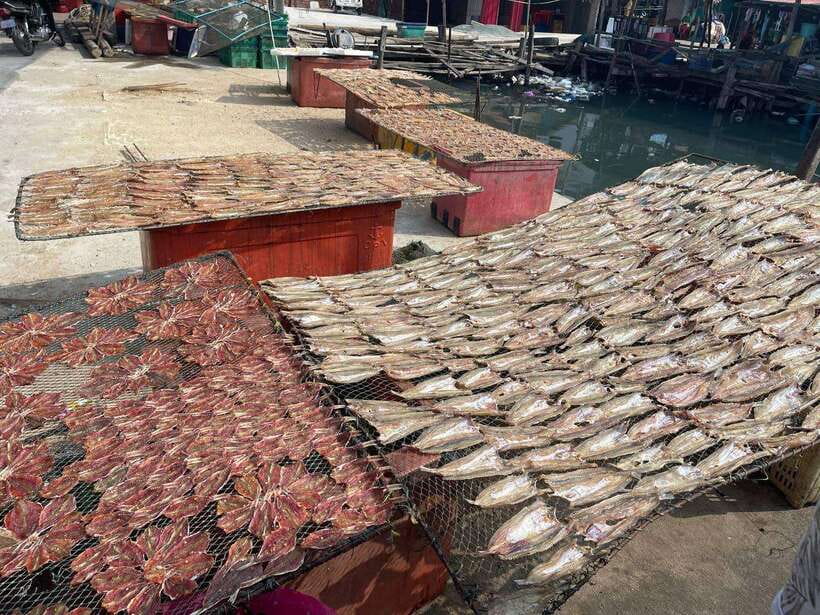 Exploring Sihanoukville: Shore Excursions from Cruise Ports - Who should book, and who should skip this Sihanoukville shore trip