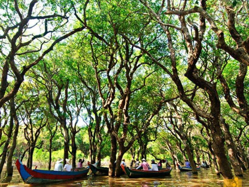 Floating Village-Mangroves Forest Tonle Sap Lake Boat Tour - Crocodile farm and BBQ crocodile meat: decide how you want to handle it