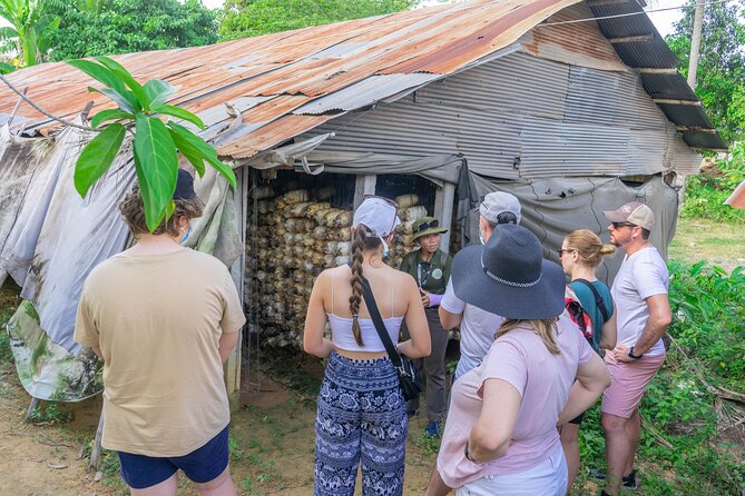 Floating Village Sunset Boat & Jeep Tour - Inclusive Drinks - Stop 1: The drive south and the first glimpse of rural rhythm