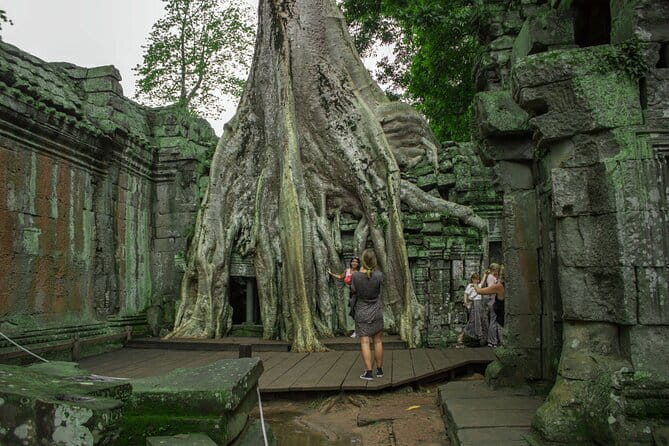 (Free eSim) Classic Angkor Wat Sunrise Full Day Tour - Ta Prohm: Tree Roots, More Atmosphere, Better Photos