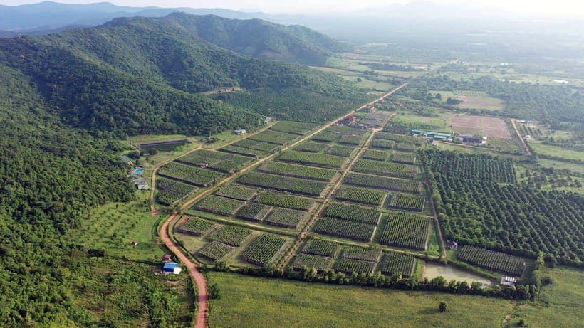 From Phnom Penh: Kampot Day Trip to Beautiful place W/ Guide - Key things I’d focus on