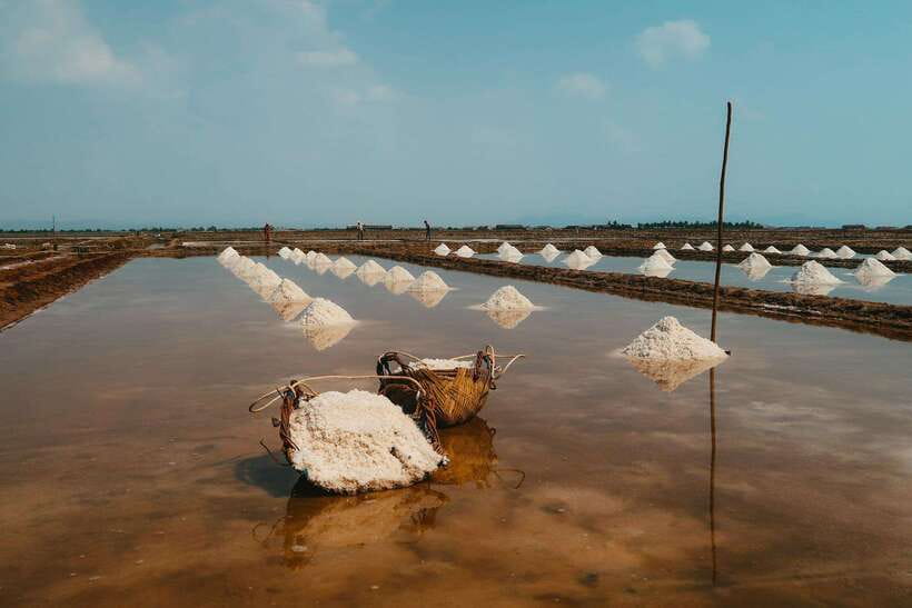 From Phnom Penh: Kampot Day Trip to Beautiful place W/ Guide - Salt fields with the Kampot salt association, dry season only
