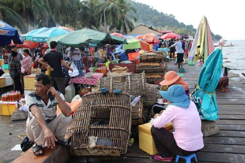 From Phnom Penh: Kampot Day Trip to Beautiful place W/ Guide - Price and value: what $49 covers, and what you must budget