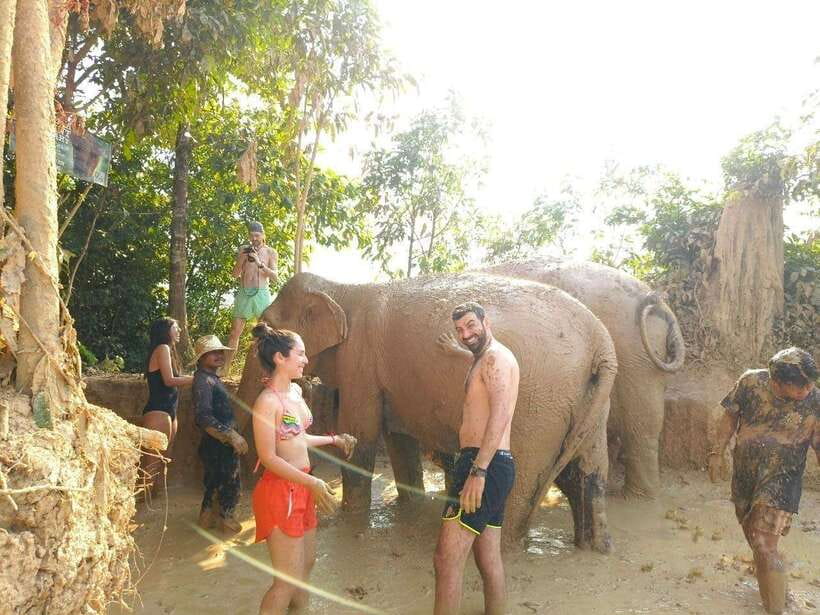 From Siem Reap: Elephant Sanctuary Experience with Transfers - Key things that make this sanctuary visit special