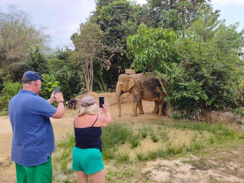 From Siem Reap: Elephant Sanctuary Experience with Transfers - From Siem Reap pickup to a calm sanctuary rhythm