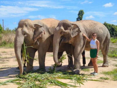 Elephant Sanctuary Experience with Transfers