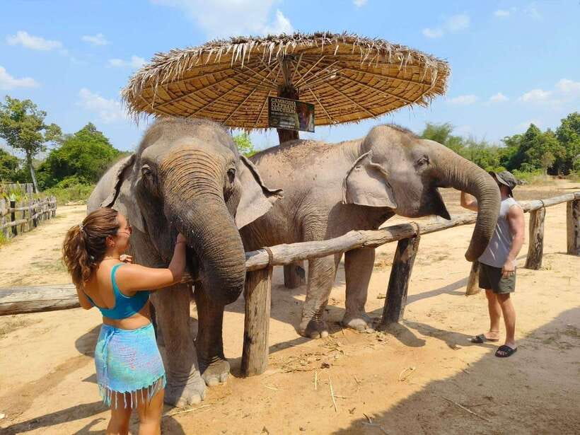 From Siem Reap: Elephant Sanctuary Experience with Transfers - River bathing and scrubbing: the big water moment