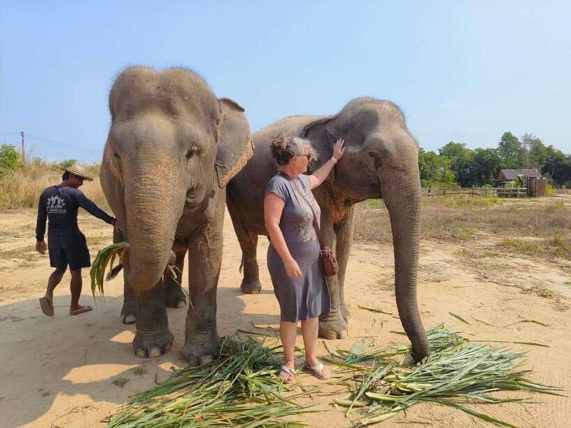From Siem Reap: Elephant Sanctuary Experience with Transfers - What to expect from the group size and flow of the day