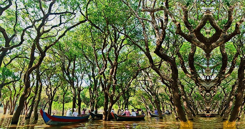 From Siem Reap: Floating Village Tour by Boat - What to Bring, What Not to Bring, and How to Prep