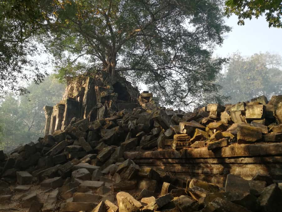 From Siem Reap: Half-Day Tour to Beng Mealea Temple - Key highlights worth planning around
