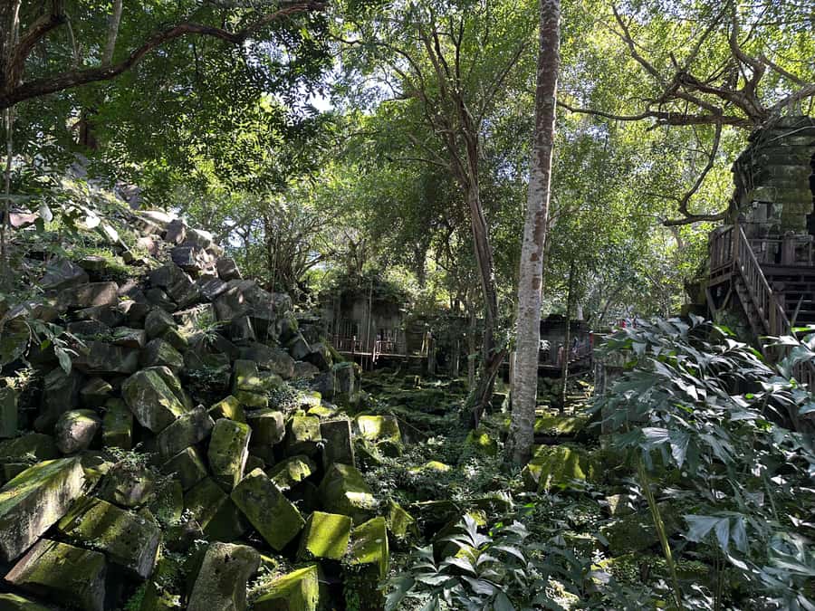 From Siem Reap: Half-Day Tour to Beng Mealea Temple - Timing and pace: you get the magic without the fatigue