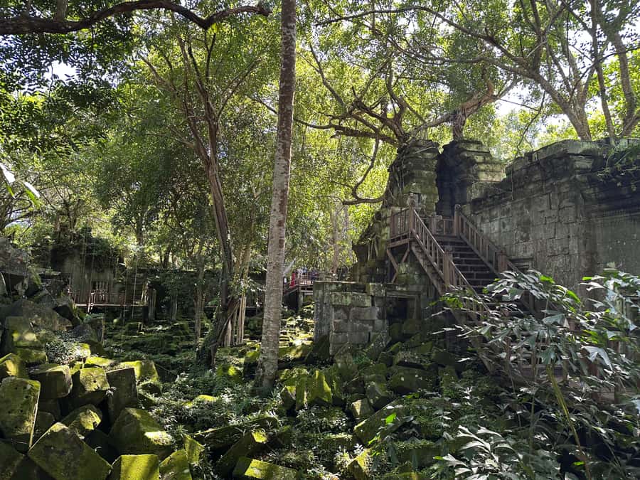 From Siem Reap: Half-Day Tour to Beng Mealea Temple - Price and value: is $130 worth it?
