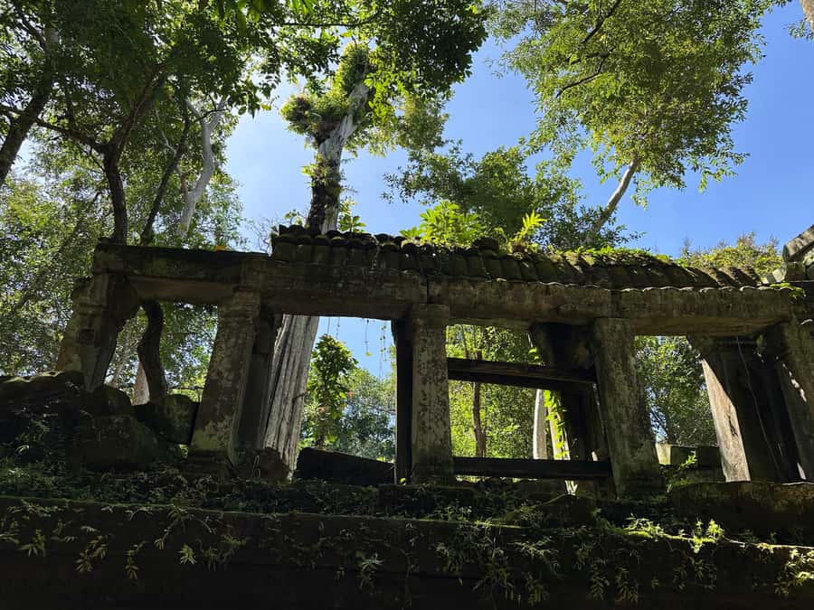 From Siem Reap: Half-Day Tour to Beng Mealea Temple - What to wear and bring so Beng Mealea stays fun