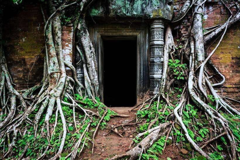 From Siem Reap: Koh Ker and Beng Mealea Temples Tour - Koh Ker: the seven-tier pyramid feeling and forest-returned shrines