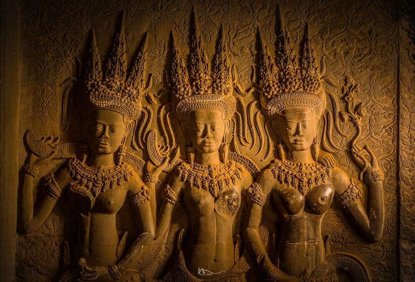 Full-Day Angkor Wat Sunrise and Sunset Private Tour - Ta Prohm’s roots and the Tomb Raider connection