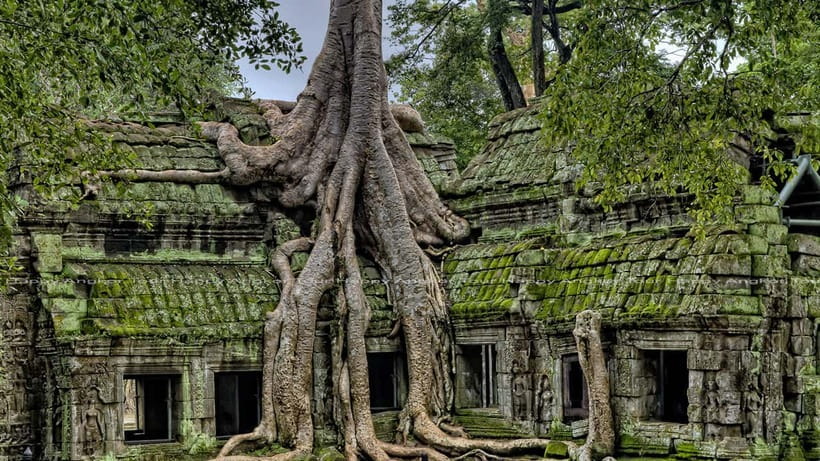 Full-Day Angkor Wat Sunrise and Sunset Private Tour - The midday heat plan: lunch around 12:30 and a real rest rhythm