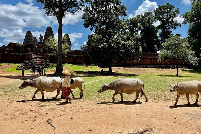 Full-Day 'Big Tour' with Sunset at Phnom Bakheng - Preah Khan and Phnom Bakheng: the late-day payoff