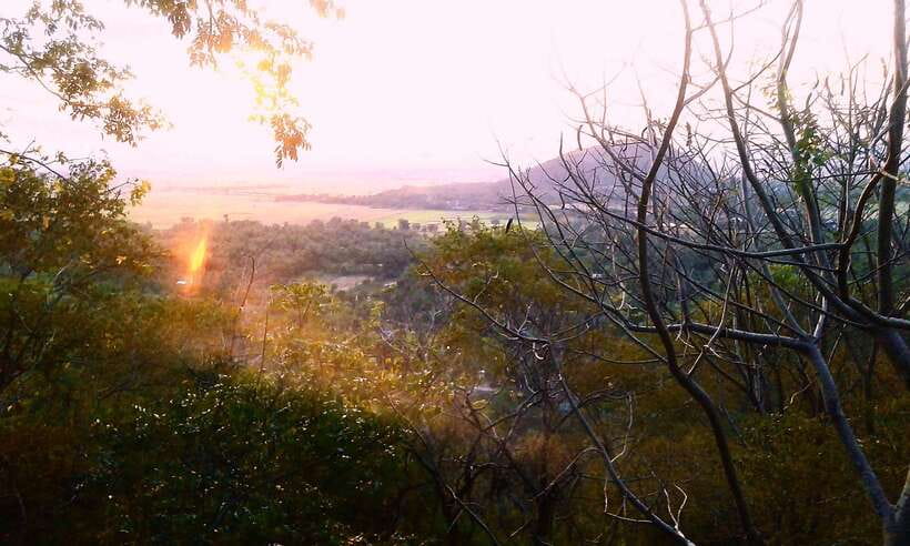 Full-day: Handicraft, Bamboo train, Killing cave, Bat Cave - Phnom Sampou Mountain: Monkey Forest, Killing Cave, Golden Temple Views, and Batcave Dusk