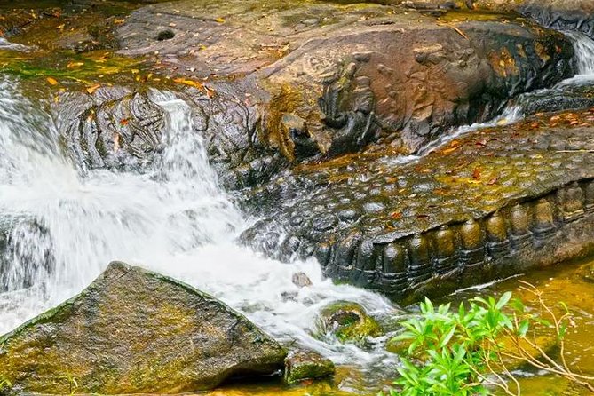 Full-Day Kulen Waterfall & 1000 Lingas Join-in Tour - The operator angle: Angkor Focus Travel’s real-life support