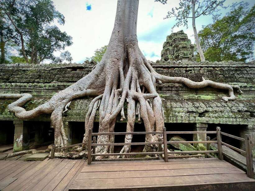 Full Day Private of Angkor Wat Tour with Tuk Tuk - Angkor Thom and Bayon Temple: Smiling Faces in the Jungle