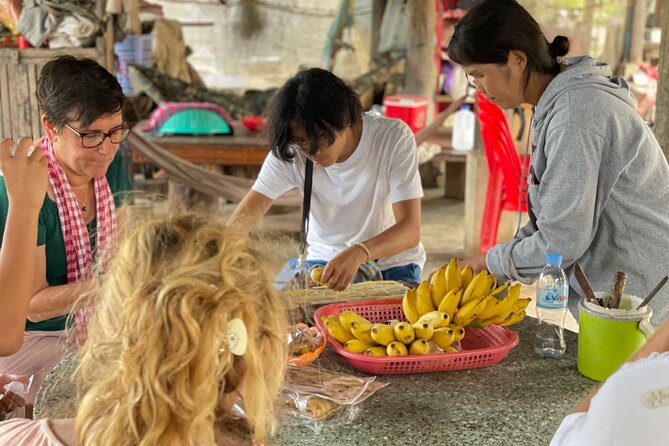 Full day tour by bicycle & tuk tuk,bamboo train,bat cave,villages - Bamboo Train Battambang, village roads, and the $5 ticket