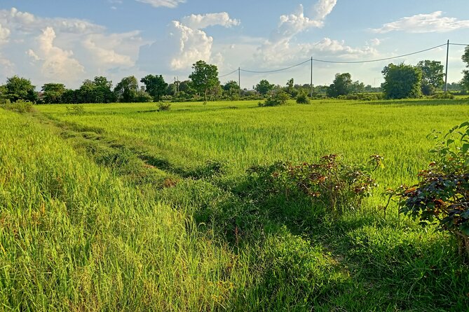 Full Day tour .City tour.Countryside.Bamboo Train.Secret Bat Cave - Battambang With a Local Guide, Not Just a Route