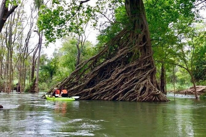 Full Day Tour from Siem Reap - Bamboo Train, Killing Cave & Sunset - Battambang Bat Caves Around 5 pm: The Classic Dusk Exodus