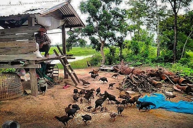 Full-day: Wat Banan. Old bamboo train. Bat Cave. Killing cave - Bamboo Train Ou Srauo Laou: the ride that defines the day