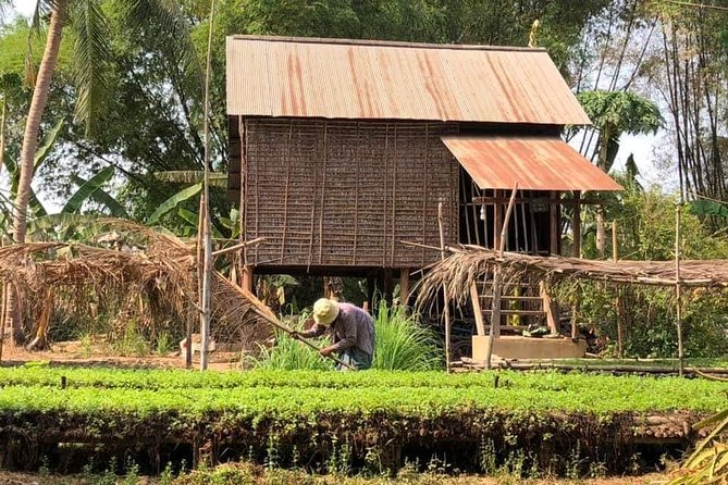 Full-day: Wat Banan. Old bamboo train. Bat Cave. Killing cave - Food and village snacks: the practical tastes of Battambang