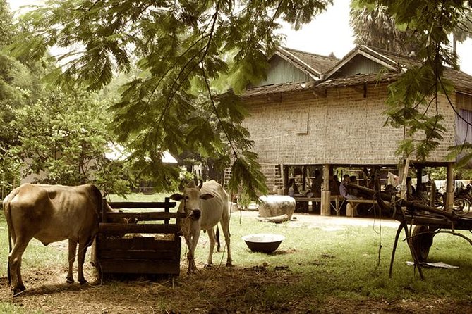 Full-day: Wat Banan. Old bamboo train. Bat Cave. Killing cave - Stop one and the river views: Battambang town basics