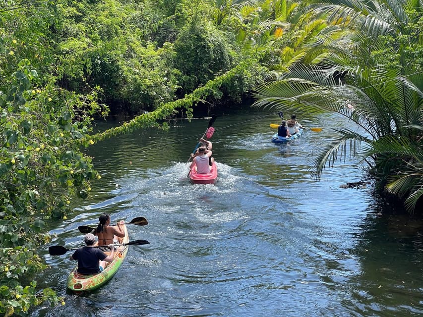 Green Cathedral Kayaking Journey & Reflection River View - Swimming, hammocks, and the drink stop that turns it into an afternoon