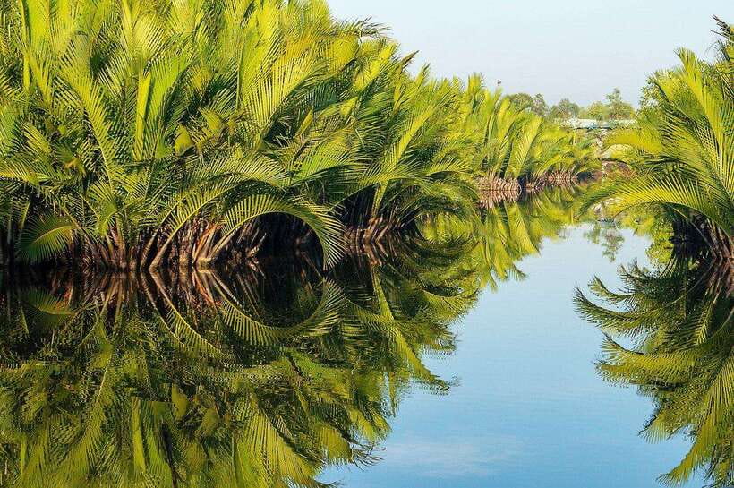 Green Cathedral Kayaking Journey & Reflection River View - Sunset at 3:30pm: what to expect from the sky and light