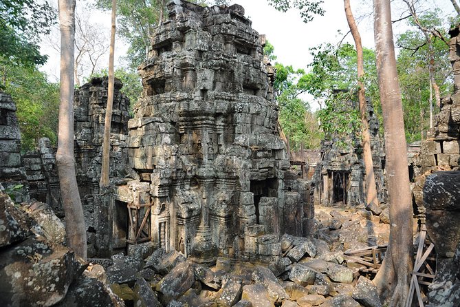 Guided Private A/C Vehicle Tour to Angkor Wat and Small Circle with Two Extras - The Jungle Temples: Ta Prohm and the Day’s Best Wandering Time
