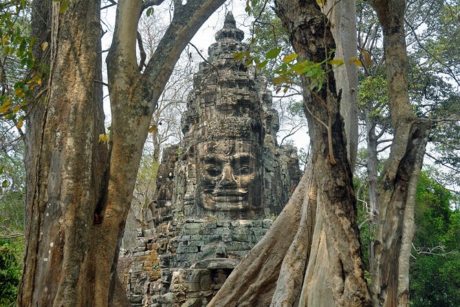 Guided Private Tuk Tuk Tour Angkor Wat and Small Circle and Five Extras - Who should book this Tuk Tuk day, and who should skip it