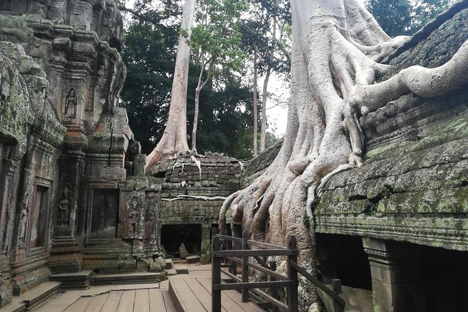 Half Day Angkor Wat Sunrise Private Tour - Why a 4:30am Start Matters for Angkor Wat Sunrise