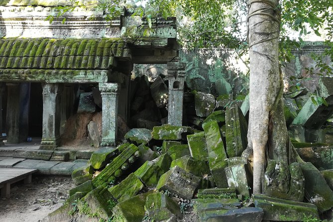 Half Day Angkor Wat Sunrise Private Tour - Ta Prohm: The Tomb Raider Temple Experience, Minus the Chaos