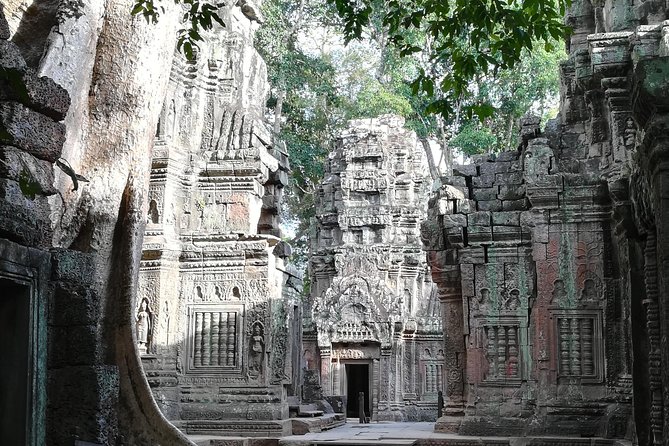 Half Day Angkor Wat Sunrise Private Tour - Price and the Real Cost After the Angkor Pass