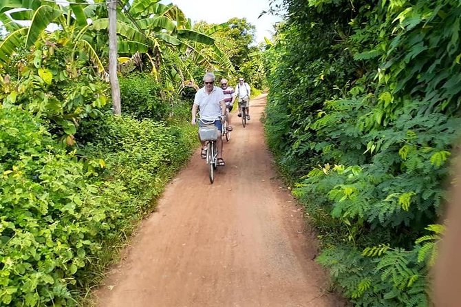 Half day morning bicycle tour to Explore local livelihood and test local snacks - Wat Ek Phnom: old temple, big Buddha, and a calmer finish