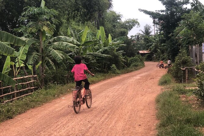 half day morning tour by Tuk-Tuk - Bamboo Train Battambang: original ride plus the $5 ticket