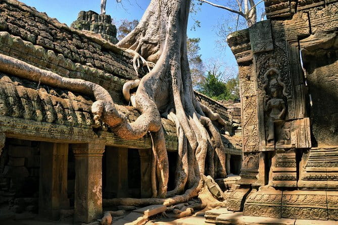 Half Day River Monster Tour with Private Guide in Siem Reap - What you actually do during the tour day