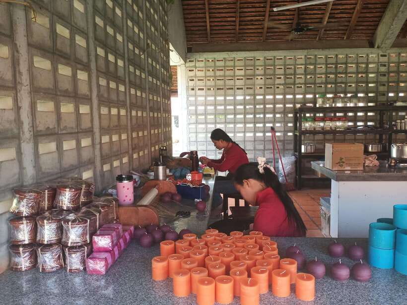 Half Day Trip: Silk Farm, Satcha, and Senteur d'Angkor Tour - SilkFarm: mulberry trees to weaving, in one guided flow