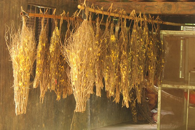 Island Community Life in Phnom Penh - Price And Value: Is $172 Worth It?