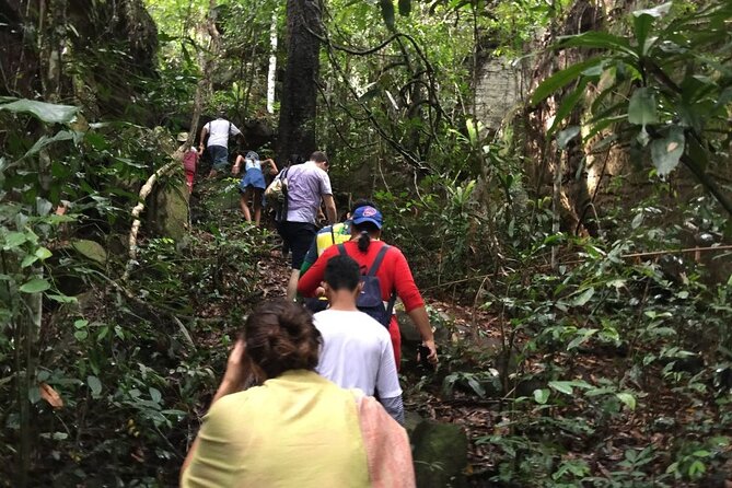 Jungle Trekking Tour at Phnom Kulen National Park from Siem Reap - What the price really includes (and when it’s good value)