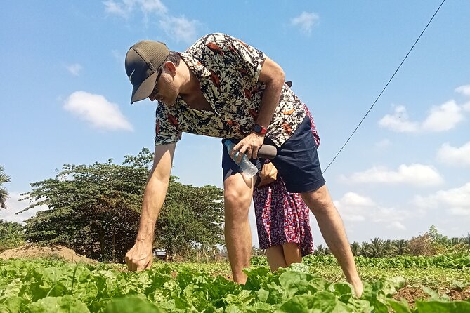 Kampot/Cambodia pepper farm . Cave. lake. Kep Crab market & more. - Key highlights you should know