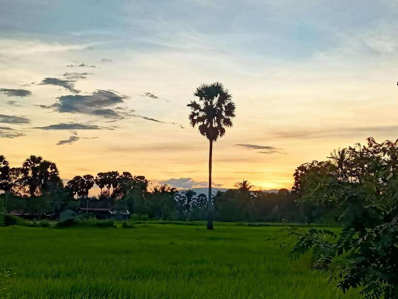 Kampot Countryside include Pepper farm,Kep crab market beach - Stop 1 to the salt fields: seeing how a local product is made
