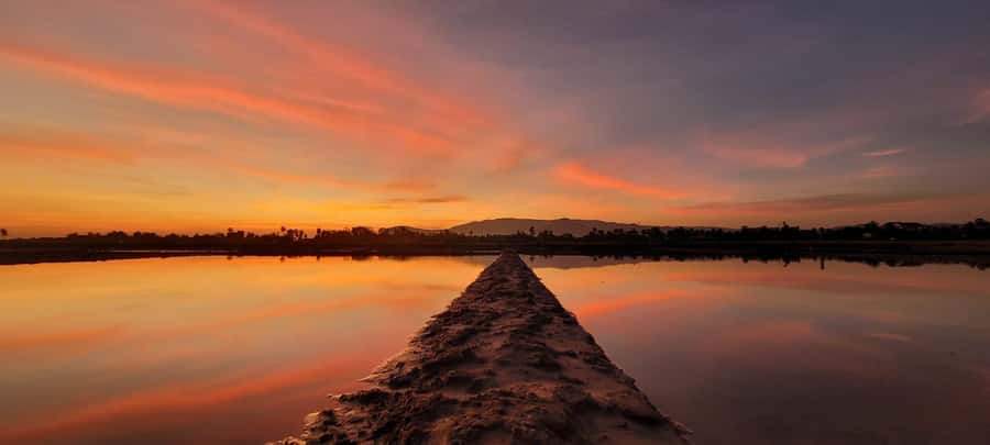 Kampot Countryside include Pepper farm, Salt field & Lake - La Plantation pepper farm: free guided tour, testing, and tastings