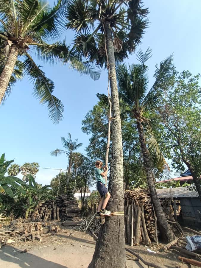 Kampot Countryside include Pepper farm, Salt field & Lake - The tuk tuk experience: small group, bumpy roads, and guide energy