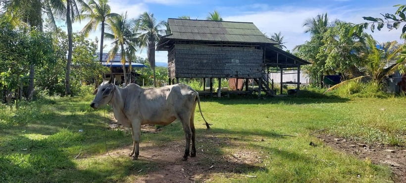 Kampot: Cultural Bike Experience - Local Life & Countryside - First countryside push: getting out past the tourist zone